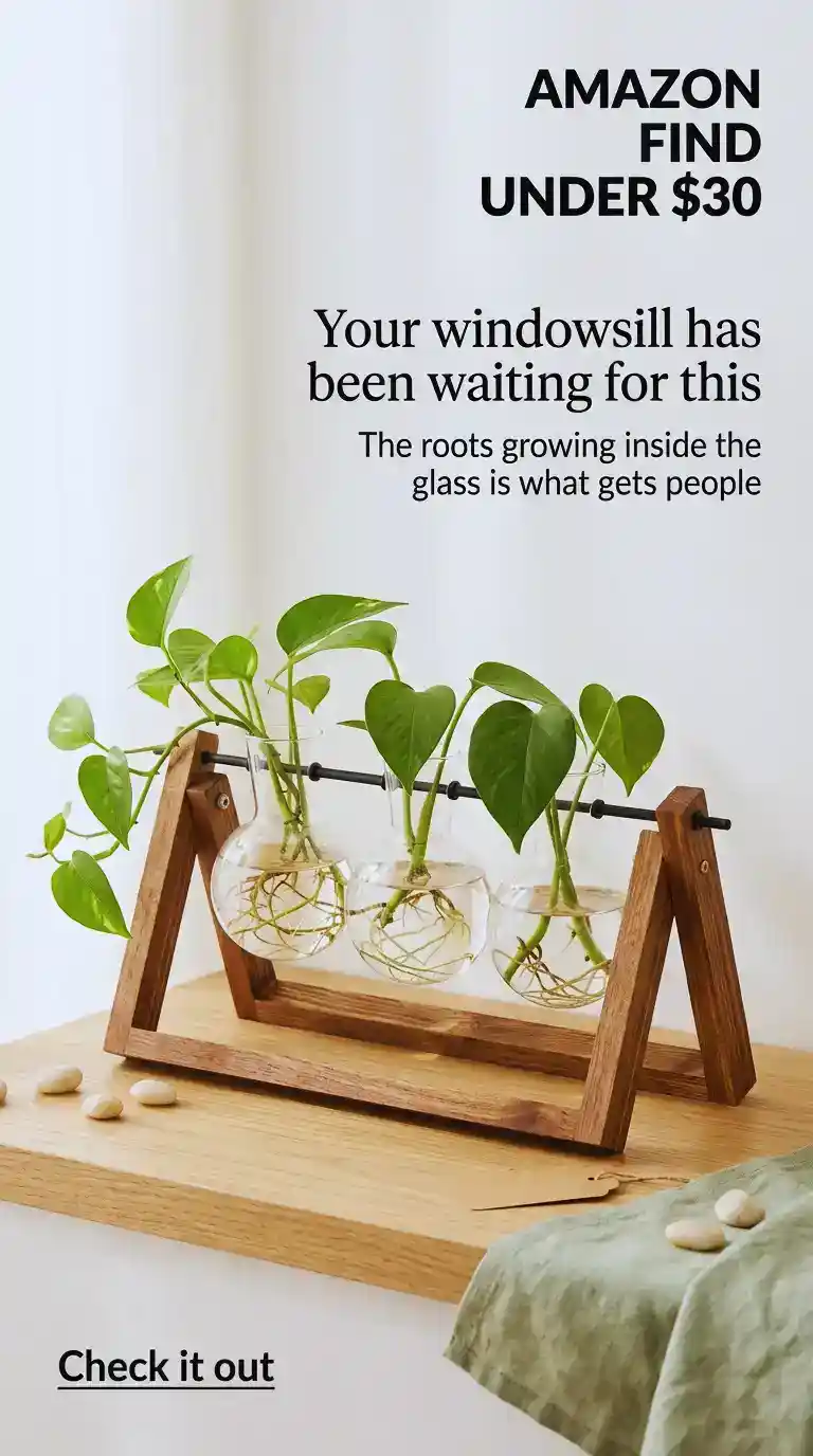 This Glass Terrarium Turns Any Desk Into a Green Aesthetic Corner